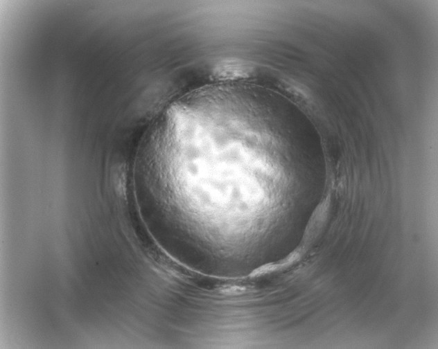 X0000065990315200603101511