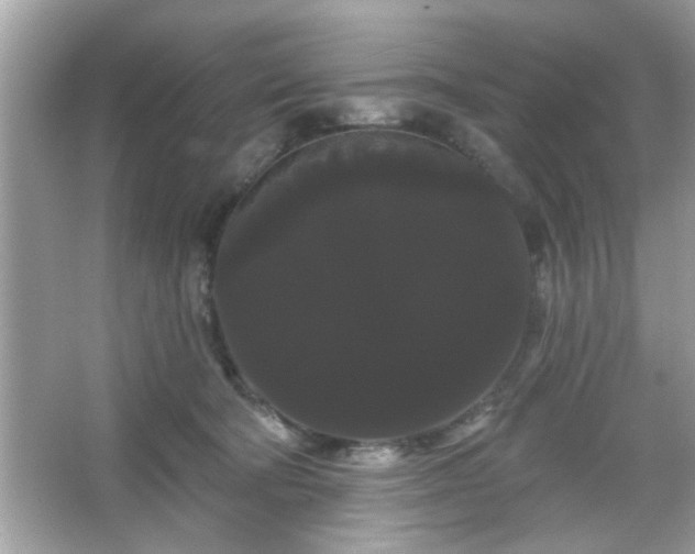 X0000065990322200603101511