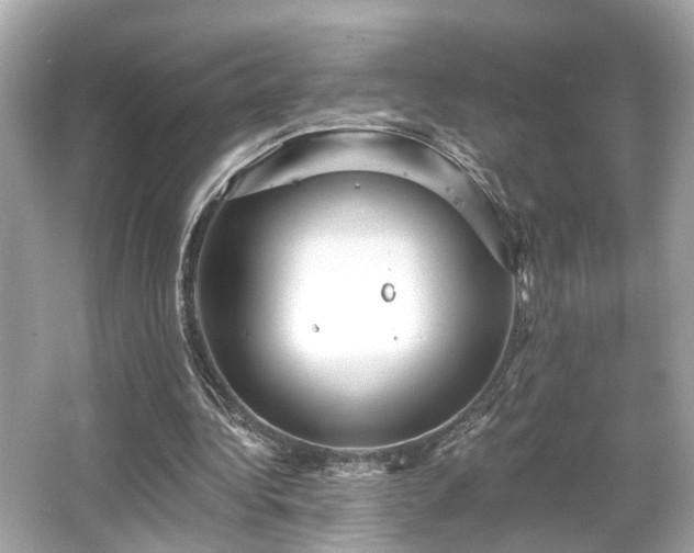 X0000065990340200603101510