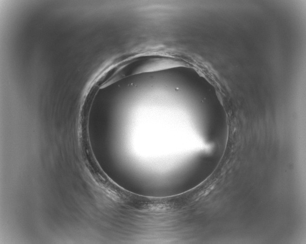X0000065990344200603101510