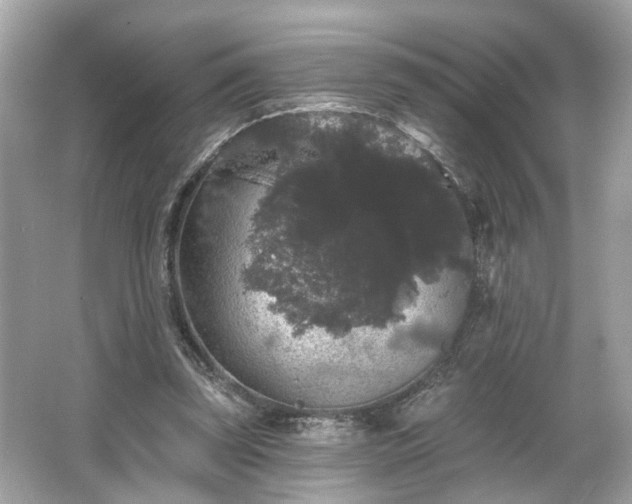 X0000065990347200603101510