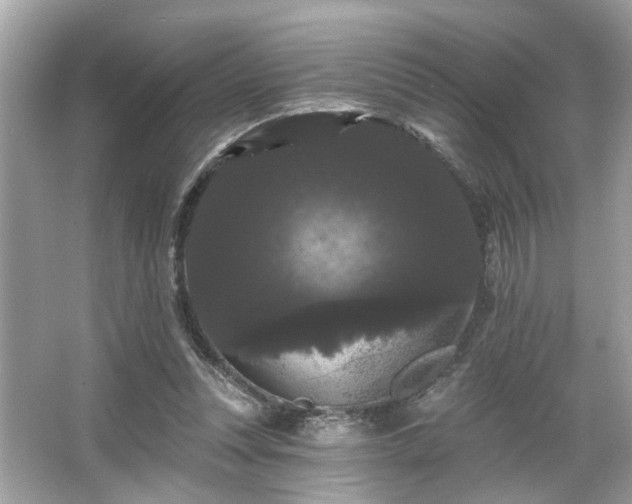 X0000065990351200603101510