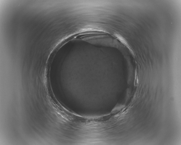 X0000065990387200603101510