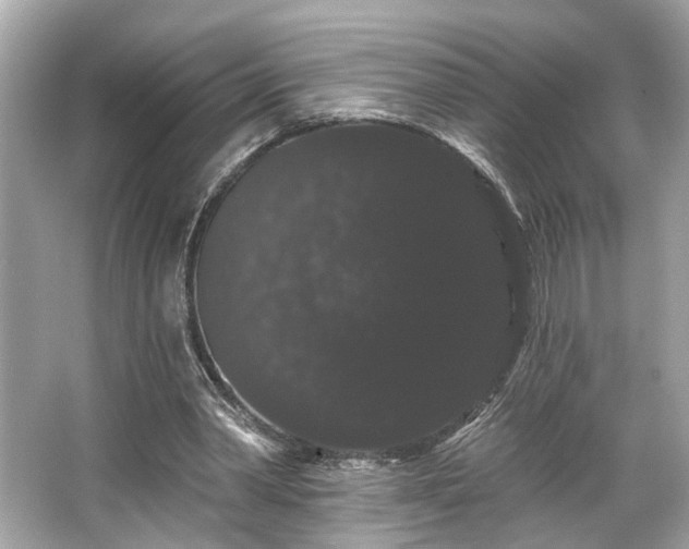 X0000065990390200603101510