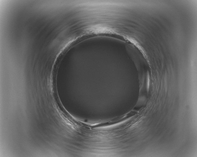 X0000065990391200603101510