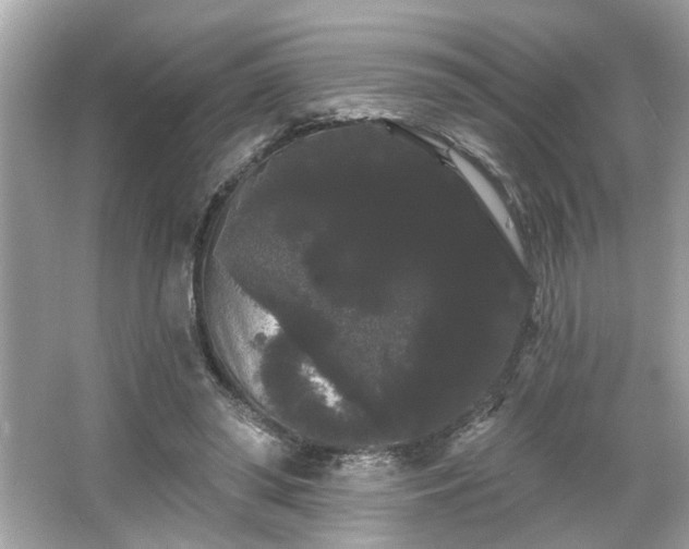 X0000065990398200603101510