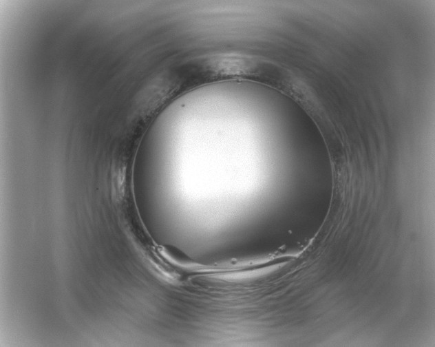 X0000065990406200603101510
