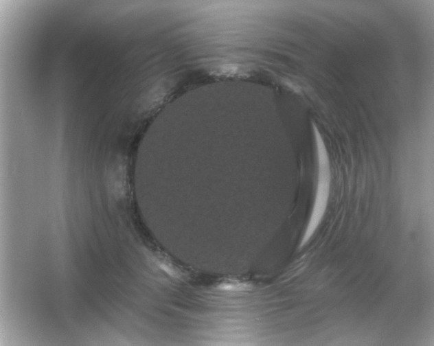 X0000065990416200603101510