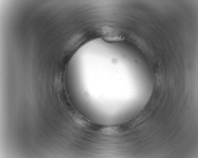 X0000065990422200603101509