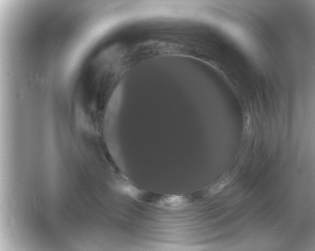 X0000065990431200603101509