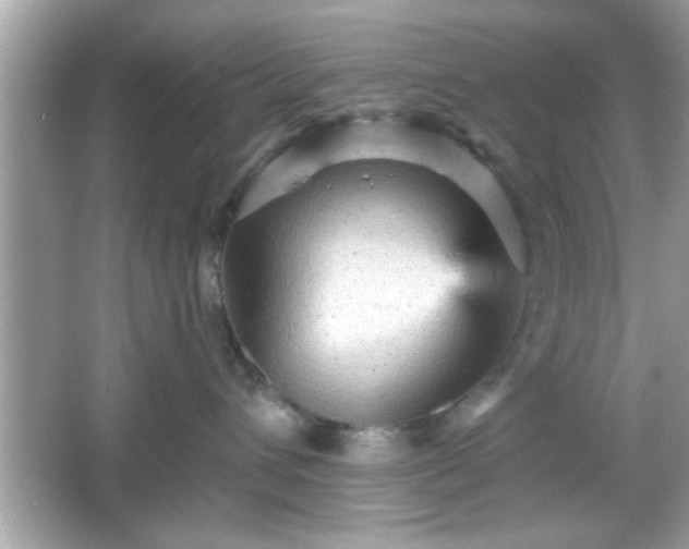 X0000065990432200603101509