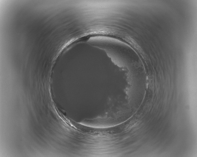 X0000065990434200603101508