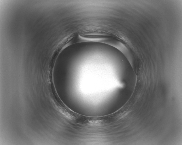X0000065990450200603101509