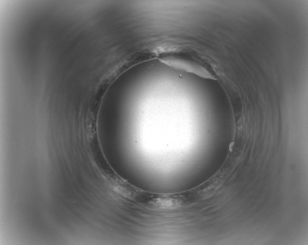 X0000065990464200603101509