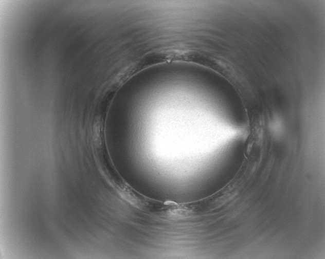 X0000065990468200603101509