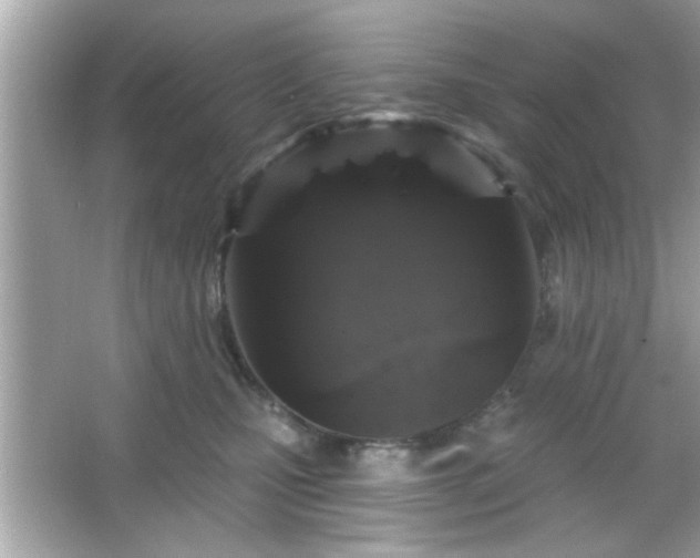 X0000065990471200603101509
