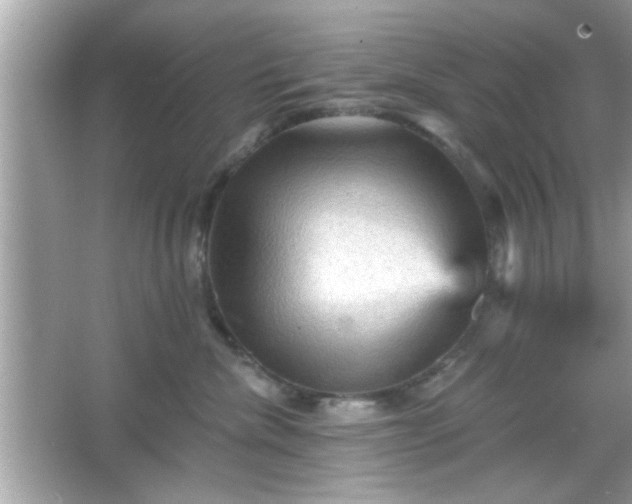 X0000065990476200603101509