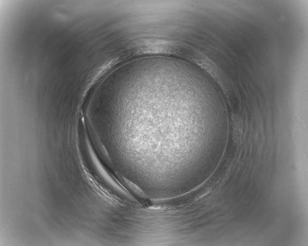 X0000065990482200603101508