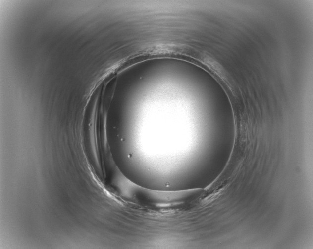 X0000065990485200603101508