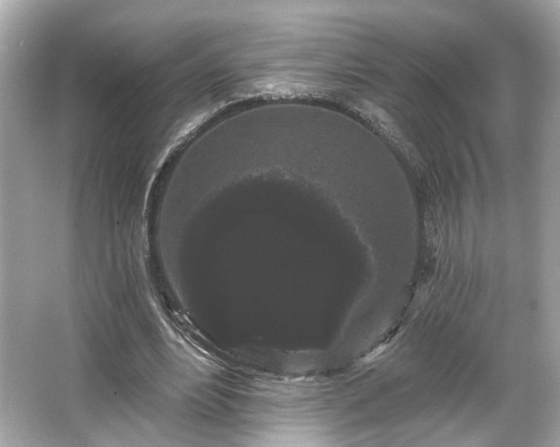 X0000065990488200603101508