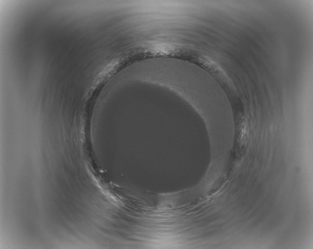 X0000065990496200603101508