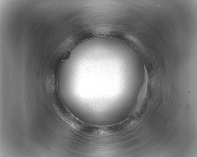 X0000065990498200603101508