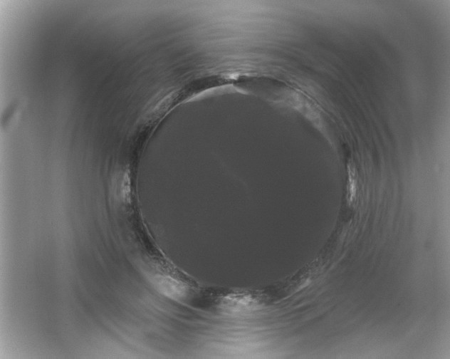 X0000065990502200603101508