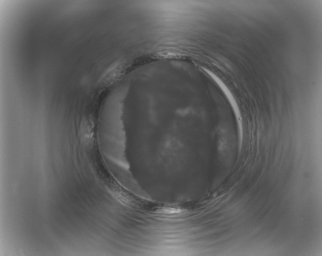 X0000065990507200603101508