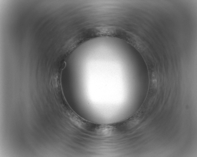 X0000065990514200603101508
