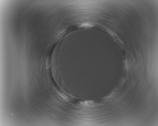 X0000065990517200603101508