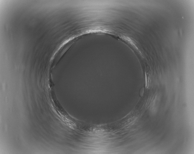 X0000065990531200603101507