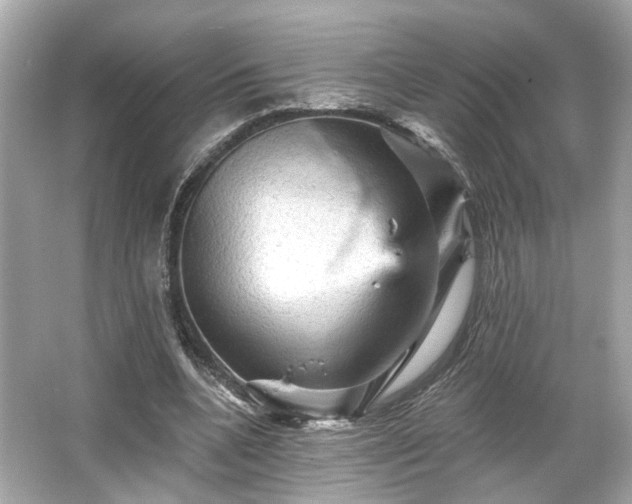 X0000065990536200603101507