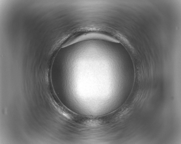 X0000065990537200603101507