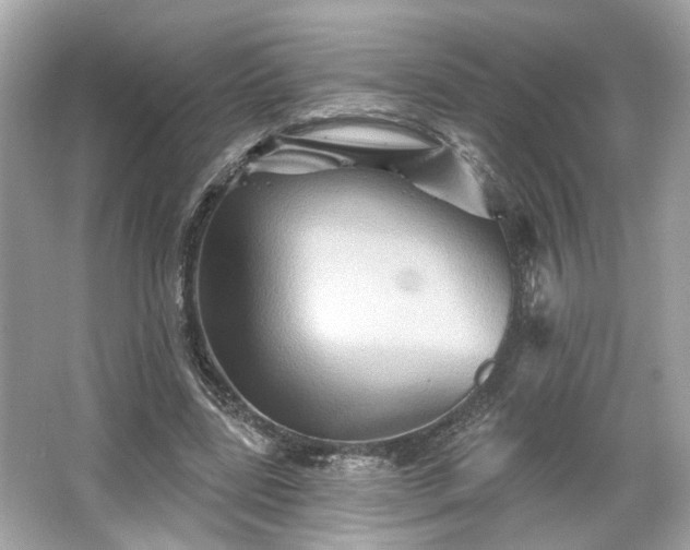 X0000065990539200603101507