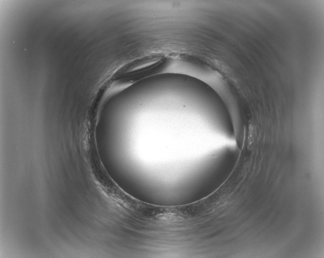 X0000065990544200603101507