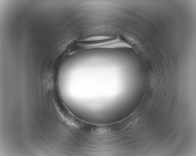 X0000065990546200603101507
