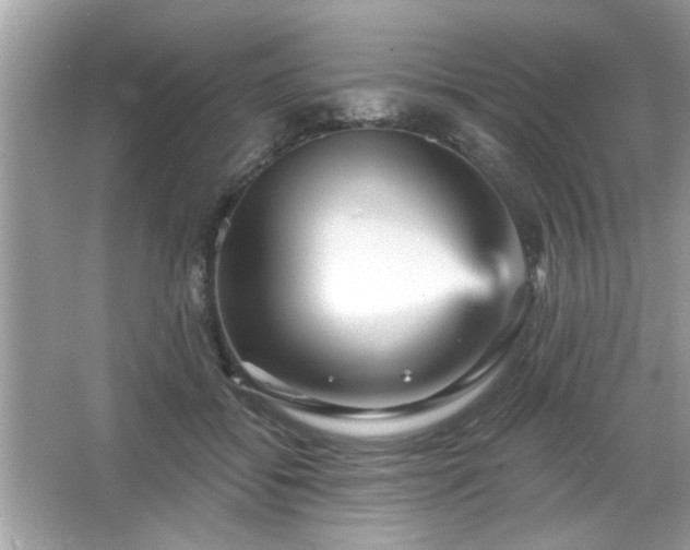 X0000065990556200603101507
