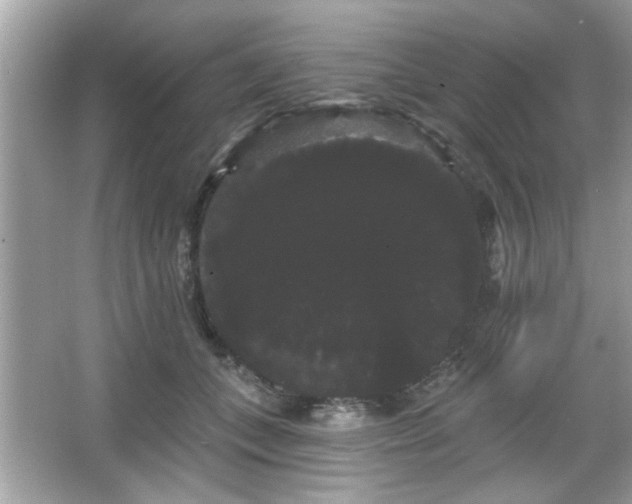 X0000065990559200603101507