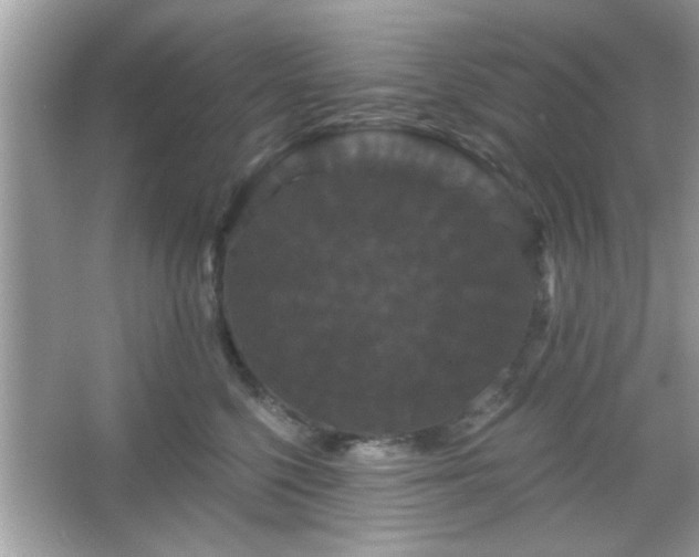 X0000065990568200603101507