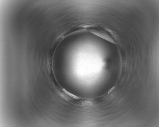 X0000065990572200603101508