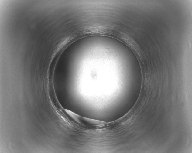 X0000065990578200603101507
