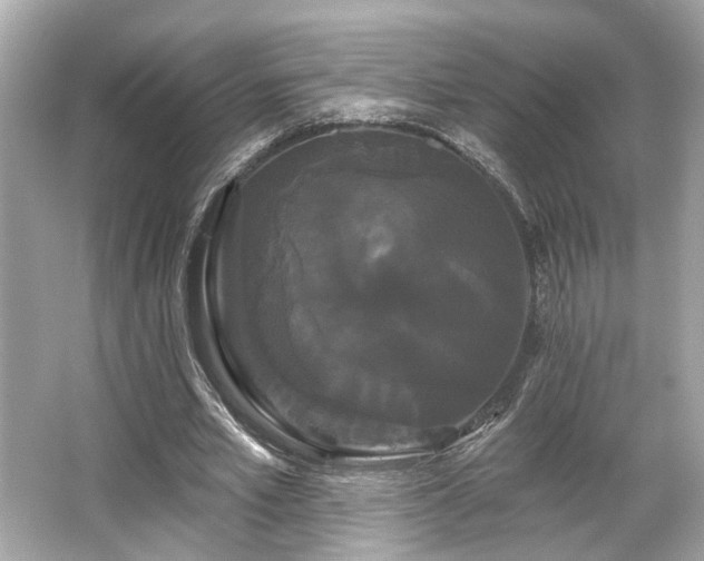 X0000065990581200603101507