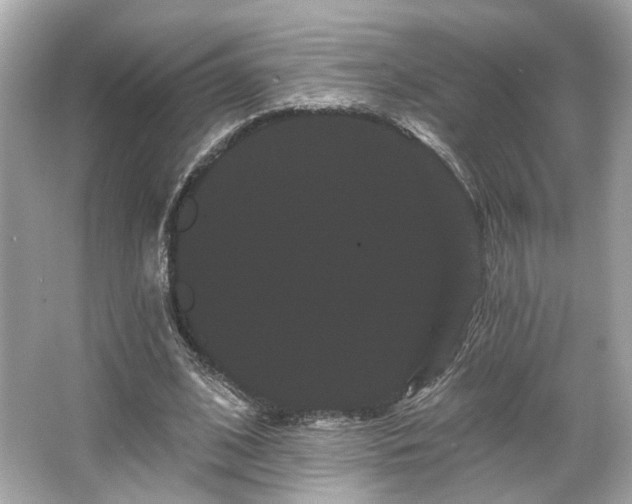 X0000065990584200603101507
