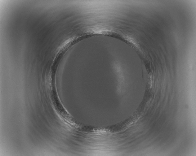 X0000065990587200603101507