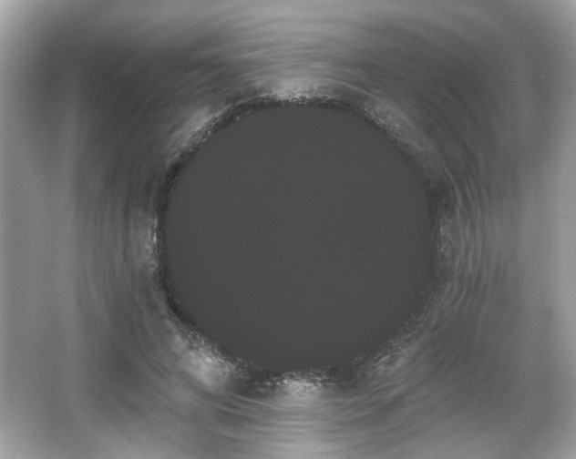 X0000065990592200603101507