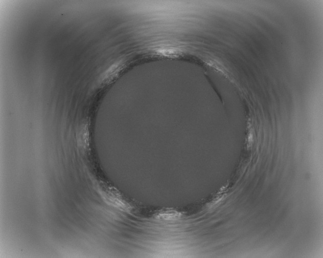 X0000065990595200603101506