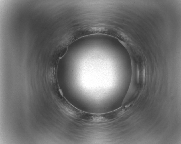 X0000065990605200603101506