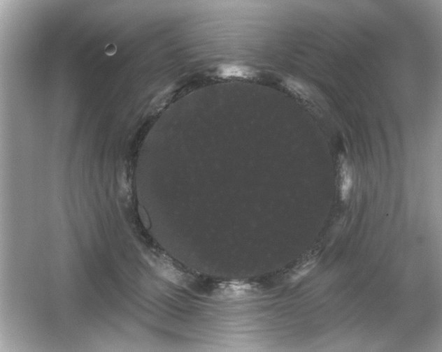 X0000065990607200603101506