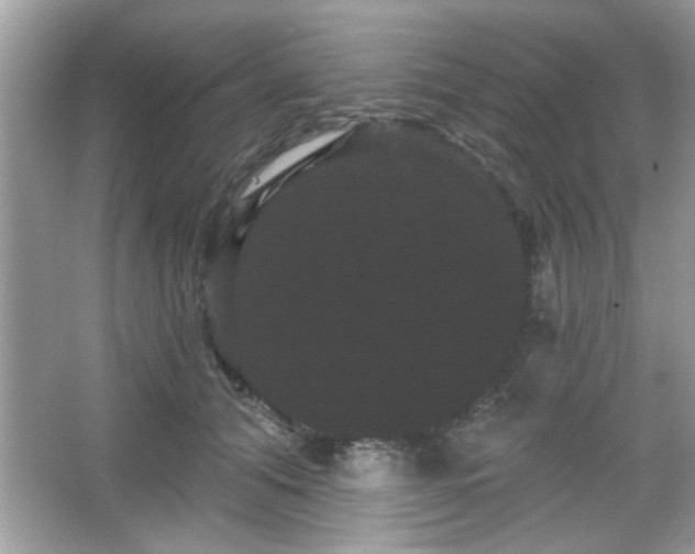 X0000065990608200603101506