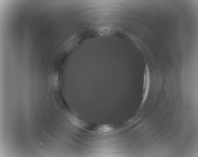 X0000065990610200603101506